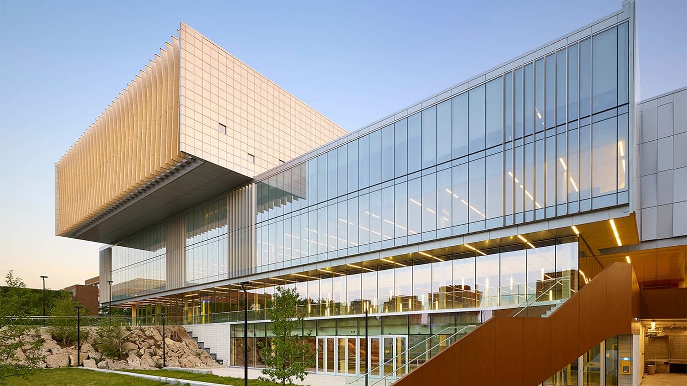 York University campus